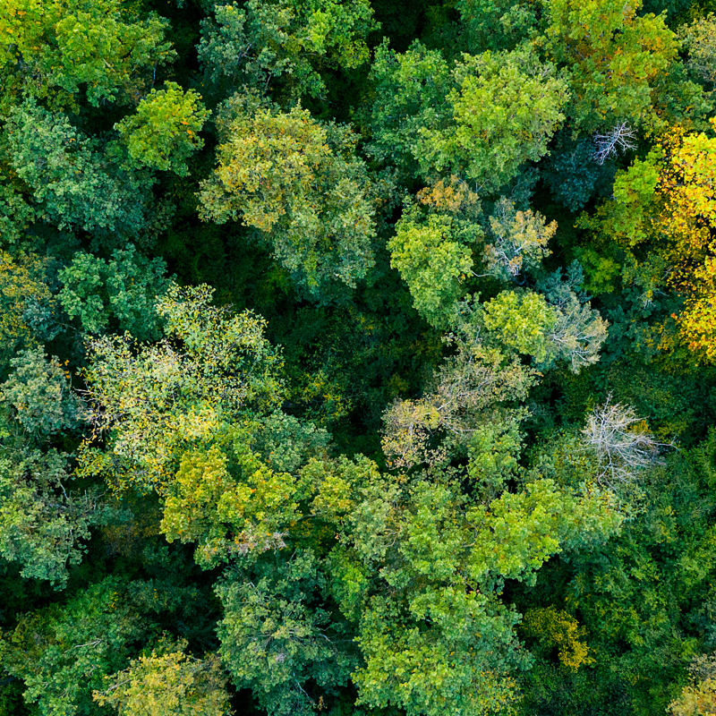 Supporting background image