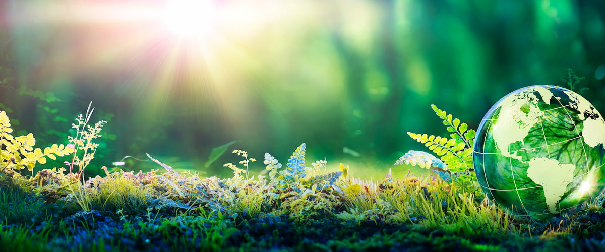 Sustainability